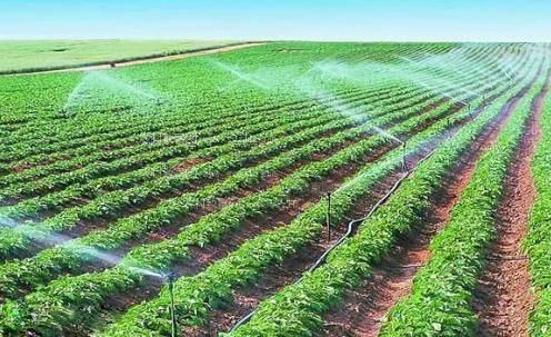 大鸡巴日小逼视频农田高 效节水灌溉